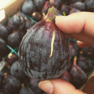 These are those perfectly ripe organic figs we can't stop talking about!