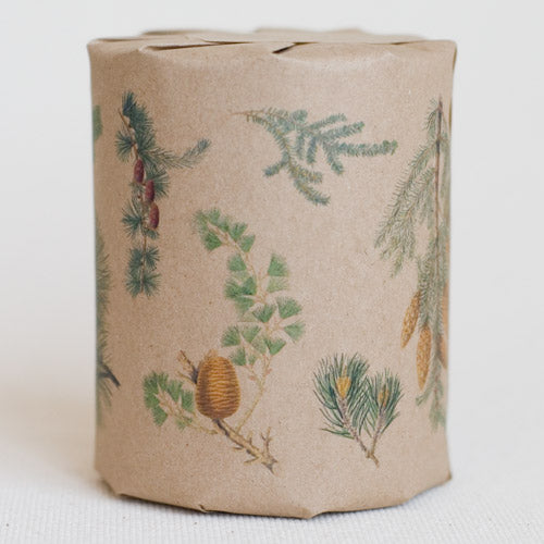 gift wrap features illustrations of details of different pine trees (full color print on kraft paper)
